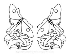 Ausmalbild-Schmetterling 15.pdf